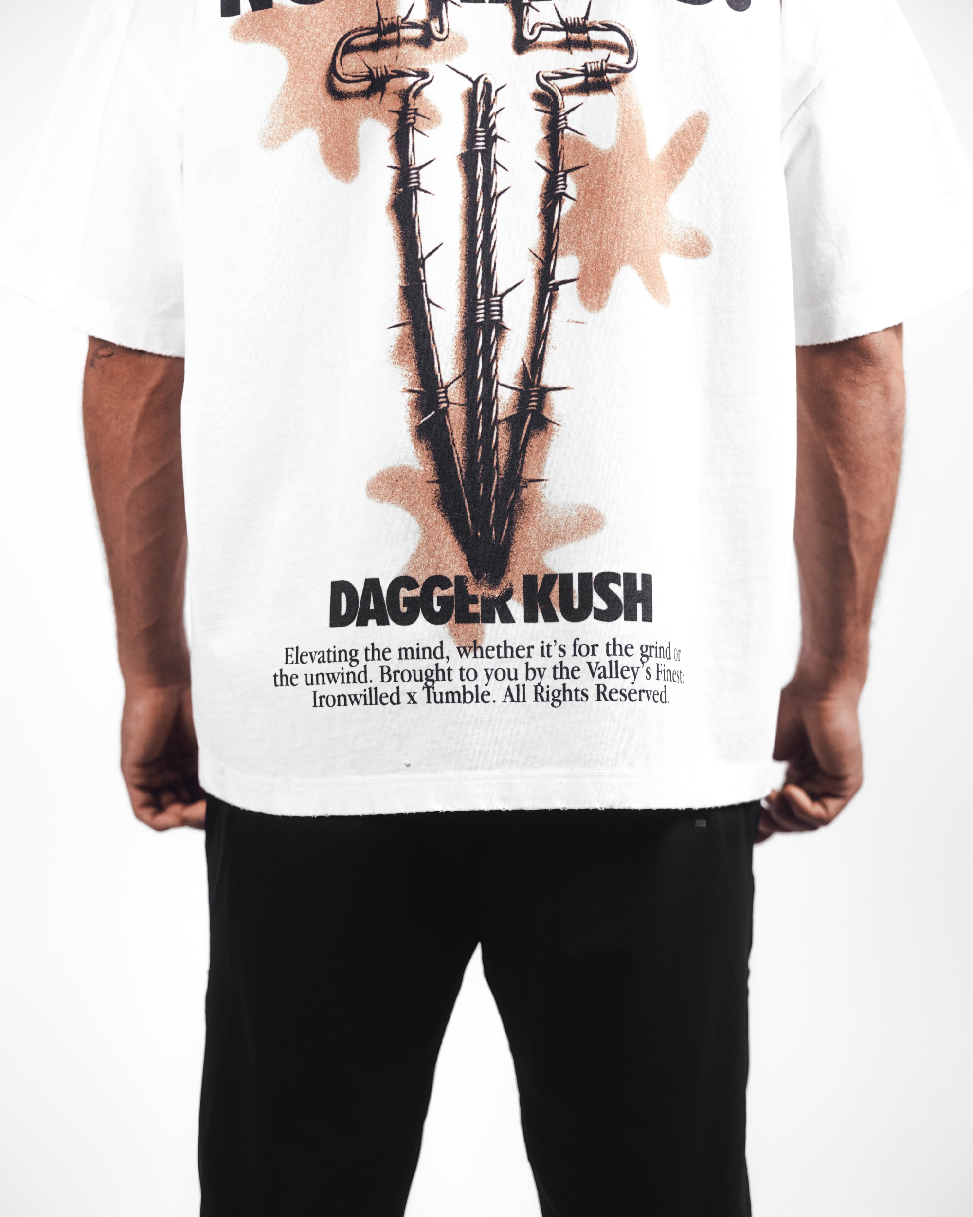 ALL GAS NO BRAKES TEE