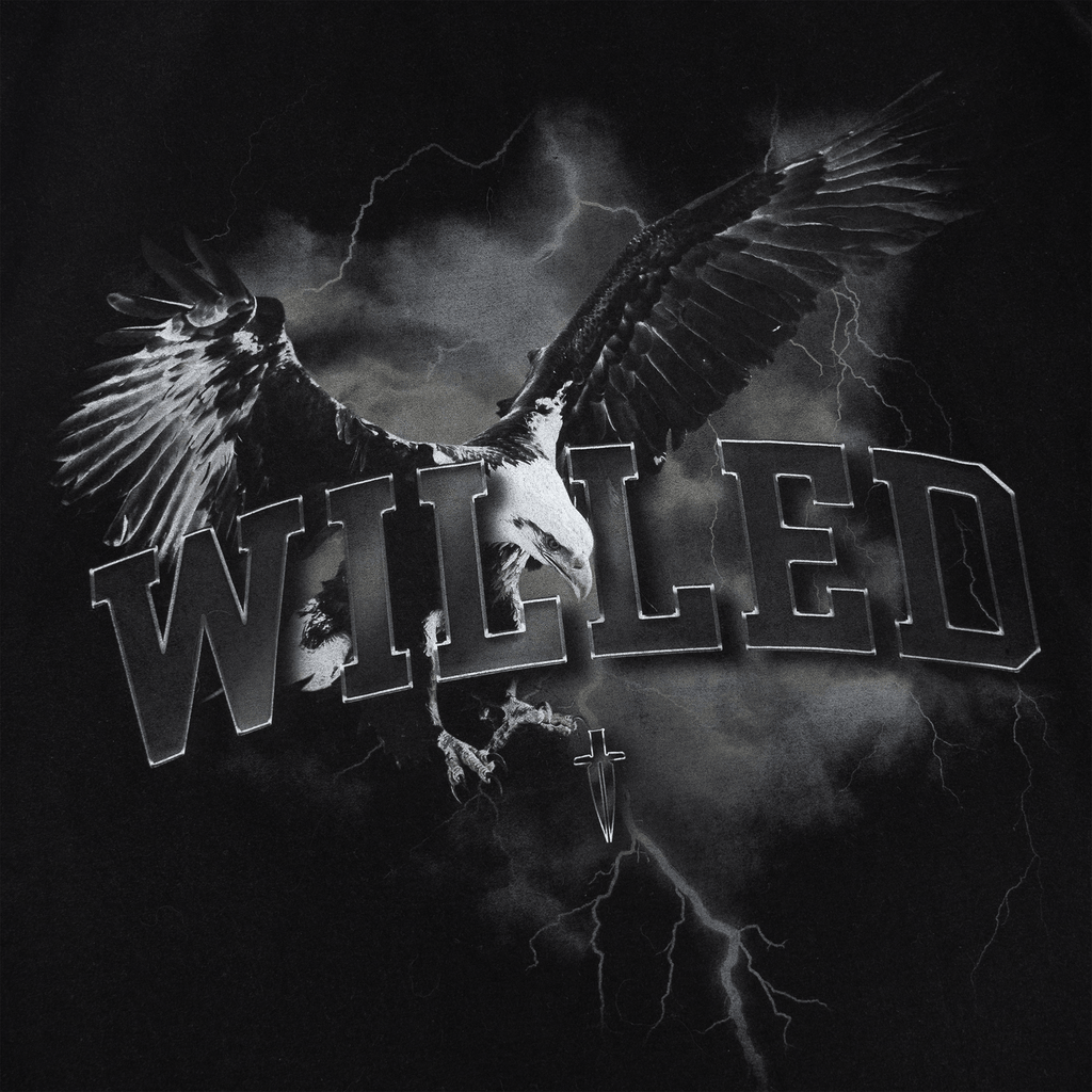 WILLED EAGLE VINTAGE TEE - FADED BLACK - IRONWILLED